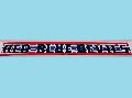 VIDEOTON FC Red Blue Devils csoportsl