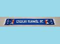 GYULAI TERML FC klubsl